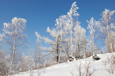 Similar image 645870