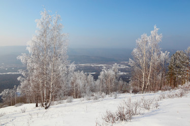 Similar image 645871