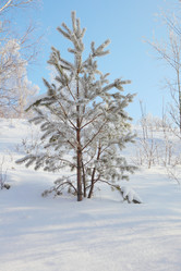 Similar image 645872