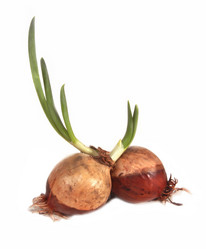 Similar image 645886