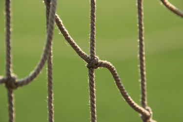 Similar image 645906