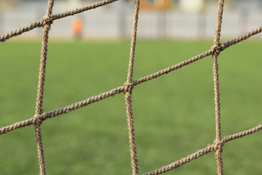 Similar image 645911