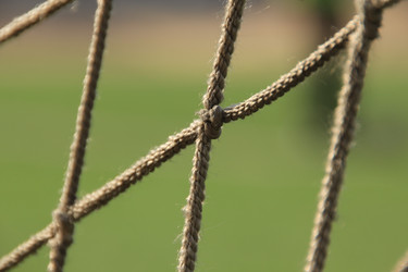 Similar image 645912