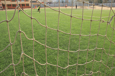 Similar image 645917