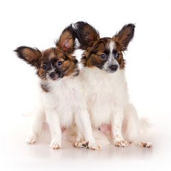 Similar image 646000