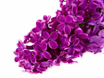 Similar image 646003