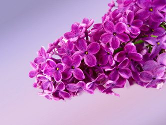 Similar image 646006