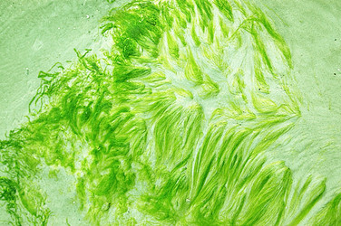 Similar image 646158