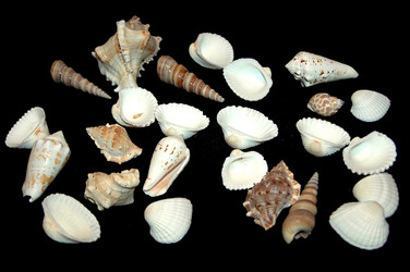 Similar image 646167