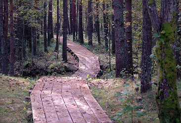 Similar image 646169