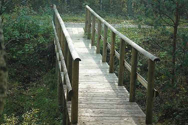 Similar image 646171