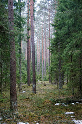 Similar image 646175