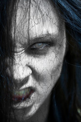 Similar image 646255