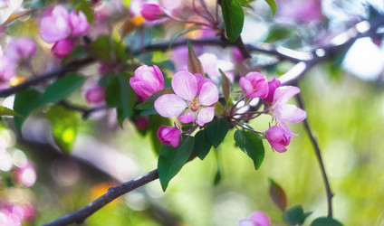 Similar image 646271