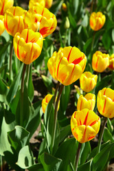 Similar image 646276