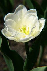 Similar image 646281