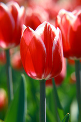 Similar image 646322