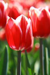 Similar image 646323