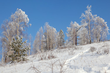 Similar image 646344