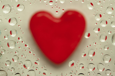 Similar image 646381