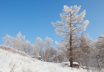 Similar image 646386