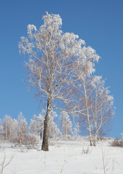 Similar image 646391