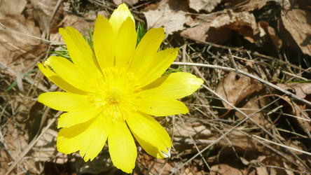 Similar image 646395