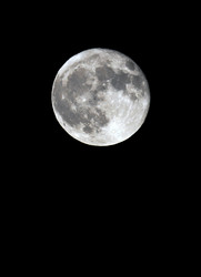 Similar image 646410