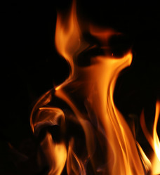 Similar image 646454