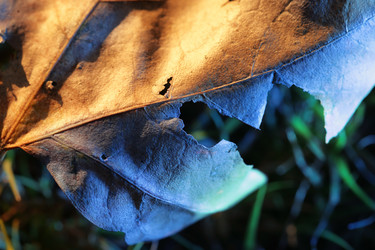 Similar image 646512