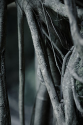 Similar image 646517