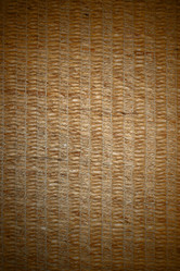 Similar image 646528