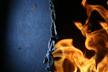 Similar image 646535