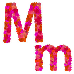 Similar image 646564