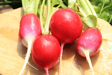 Similar image 646621