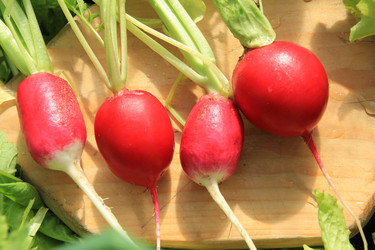 Similar image 646623