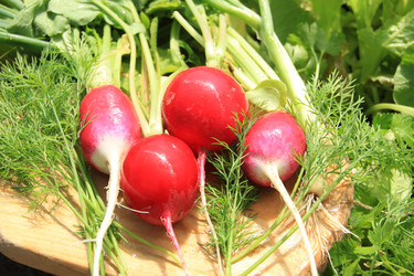 Similar image 646627