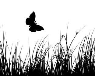 Similar image 646630