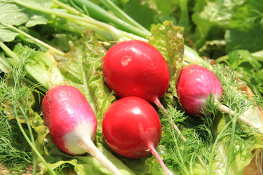 Similar image 646633