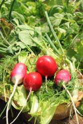 Similar image 646637