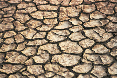 Similar image 646638