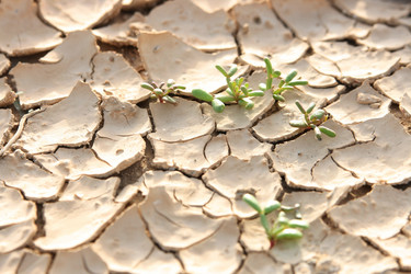 Similar image 646641