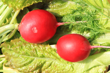 Similar image 646642