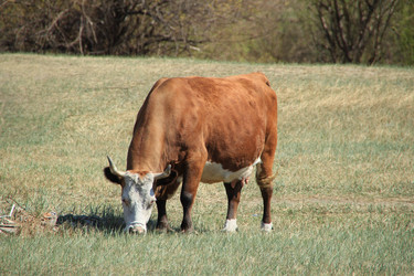 Similar image 646667