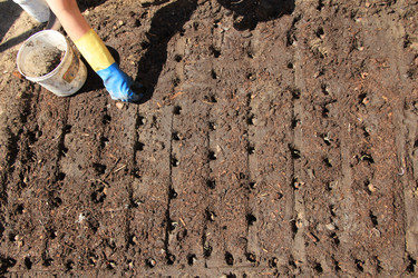 Similar image 646669