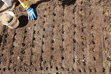 Similar image 646670