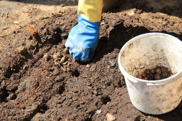 Similar image 646671