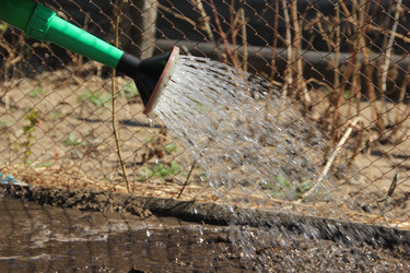 Similar image 646695