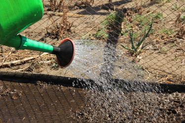 Similar image 646696