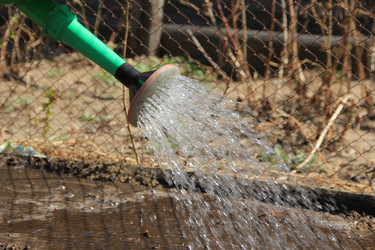 Similar image 646697